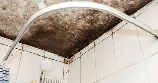 To Get Rid Of Mould