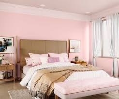Nursery Pink 8058 House Wall Painting