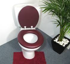 Burgundy Padded Toilet Seat Cush N Soft