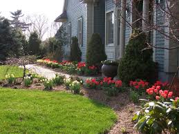 Bulb Garden Landscaping Ideas