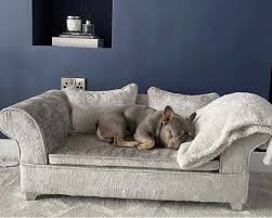 Luxury Dog Sofa Uk
