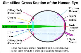 basic laser safety eye skin hazards