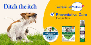 Pet Food Pet Supplies Pet S