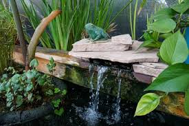 How To Create A Beautiful Pond Garden