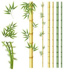 Bamboo Plant 589064 Vector Art At Vecy