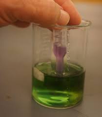 Solubility And Alkalinity Of Ammonia