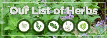 Our List Of Herbs Amazing Herb Garden