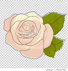 White Rose Icon Drawing Stock