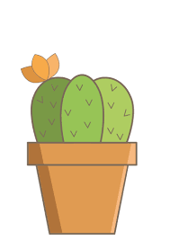 Cactus Plant Nature Flower Pot