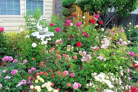 Small Rose Garden Ideas