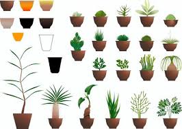 Ornamental Plants Succulents Icon Set