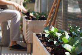 How To Plan A Vegetable Garden For Even