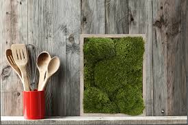 Build Your Live Moss Wall Art