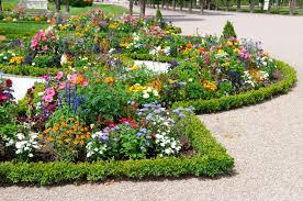 So Many Flower Beds Which Should You