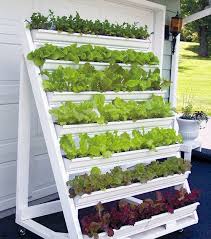 Diy Vertical Lettuce Garden Ideas