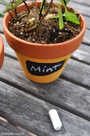 Hand Painted Mini Herb Garden Pots