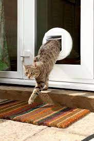 Sureflap Microchip Cat Door Toy Dog