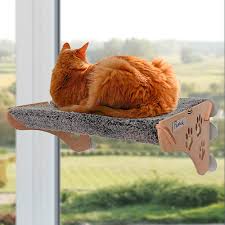 Cat Perch Window