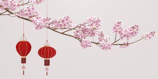 Cherry Blossoms And Chinese Lantern
