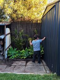 Spray Painting Our Old Colorbond Sheds