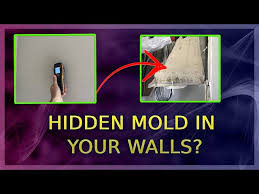 Black Toxic Mold In Your Walls