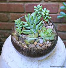 Succulent Terrarium In A Clear Glass