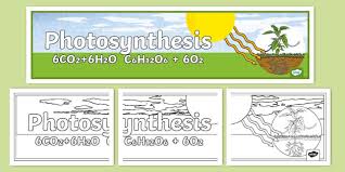 Photosynthesis Formula Banner For 6th