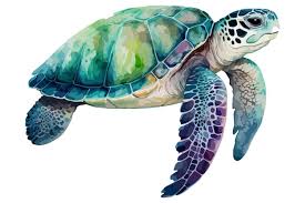Watercolor Sea Turtle Vector Ilration