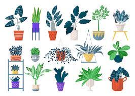 Green Houseplants In Pots Icon Set Of
