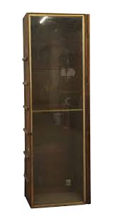Tall Wood Built In Cabinet With Glass