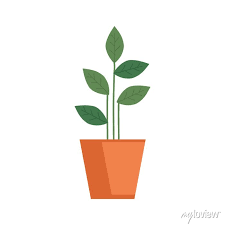 Plant In House Pot Isolated Icon Vector