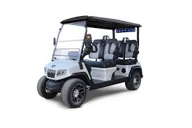 D5 Ranger 4 Evolution Electric Vehicles