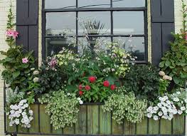 15 Fresh Ideas For Summer Windowboxes