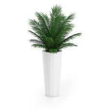 Palm Tree In Round Pot 4 3d Model