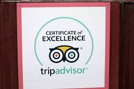 Tripadvisor Reviews