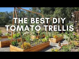 How To Make The Best Diy Tomato Trellis