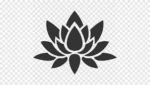 Lotus Flower Ilration Nelumbo
