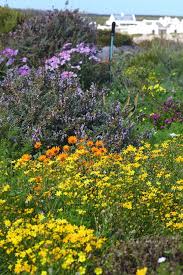 Creating A Coastal Garden Garden