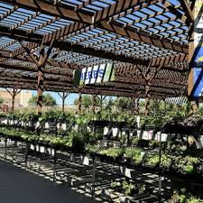 Star Nursery Updated March 2025 166