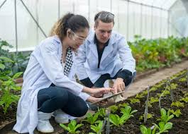 Usda Ffar Innovation Challenge