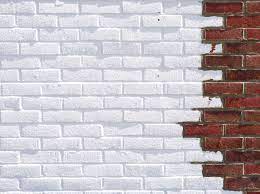 Choosing A Finish For A Rear Brick Wall