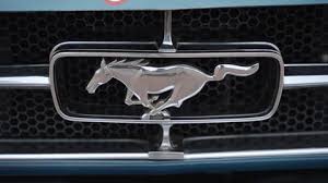 P Mustang Stock Footage Royalty
