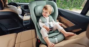 Max Safe Pro Toddler Car Seat
