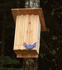 20 Diy Bat House Plans Insteading