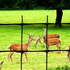 330 Ft C Flex Plastic Deer Fence