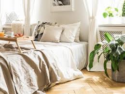 Feng Shui Plants In Bedroom 8 Do S And