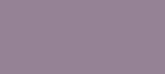 Hex Color 958295 Color Name Amethyst