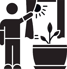 Plant Grow Icon Png Images Vectors