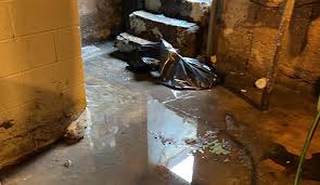 Basement Flood Cleanup