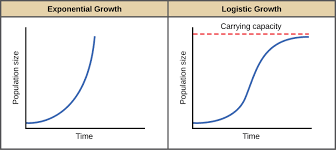 Why Is Logistic Growth More Realistic